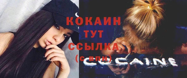 герыч Дмитриев