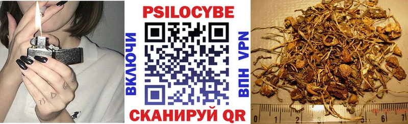 Галлюциногенные грибы прущие грибы  Купить где  Кировград 