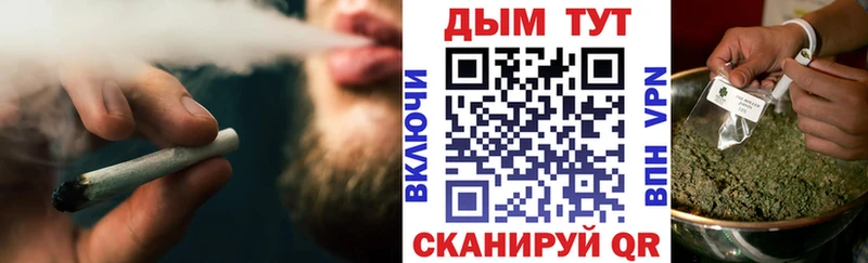 Купить закладки  Кировград  Канабис план 